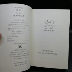 ปลาย่าง - โอกูม่า ฮิเดโอ รูปที่ 9