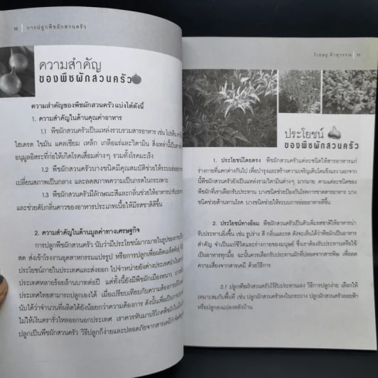 การปลูกพืชผักสวนครัว - อ.วิเชษฐ ค้าสุวรรณ รูปที่ 11
