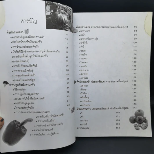 การปลูกพืชผักสวนครัว - อ.วิเชษฐ ค้าสุวรรณ รูปที่ 9