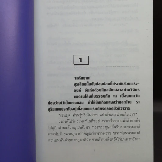ธุวตารา 2 เล่มจบ - ลักษณวดี รูปที่ 10