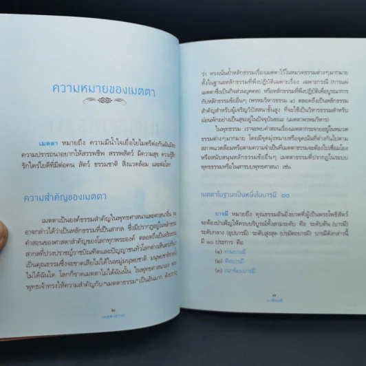 เมตตาธรรม - ว.วชิรเมธี รูปที่ 8