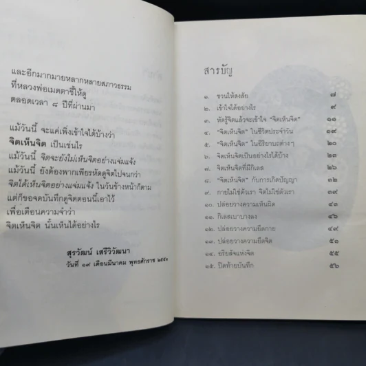บันทึกดูจิต ตอน จิตเห็นจิต - สุรวัฒน์ เสรีวิวัฒนา รูปที่ 11