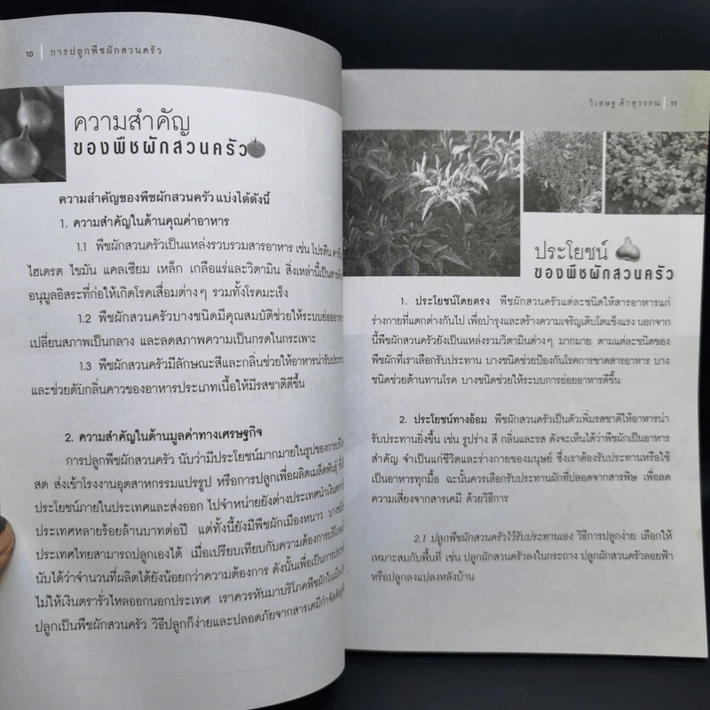 การปลูกพืชผักสวนครัว - อ.วิเชษฐ ค้าสุวรรณ รูปที่ 11