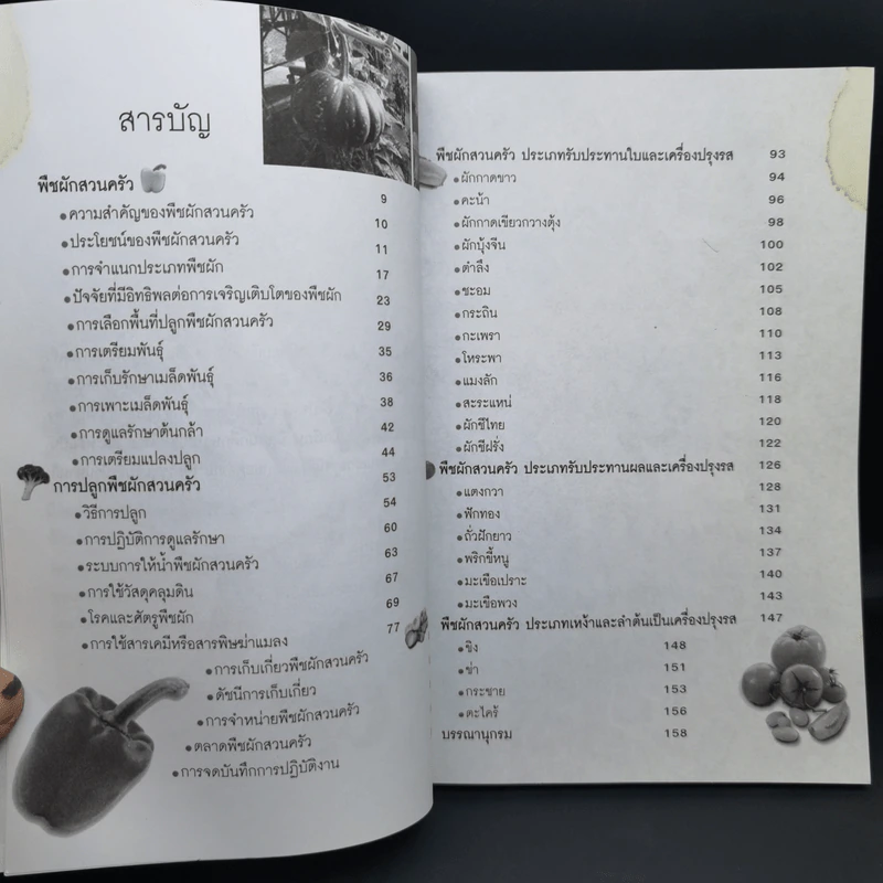 การปลูกพืชผักสวนครัว - อ.วิเชษฐ ค้าสุวรรณ รูปที่ 9