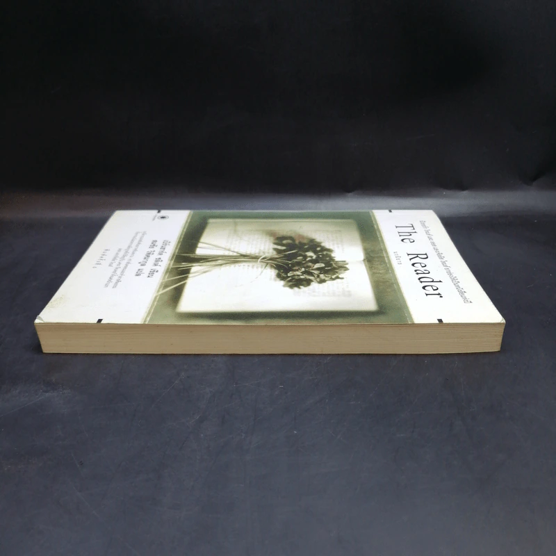 The Reader - เบิร์นฮาร์ด ชลิงค์ รูปที่ 5