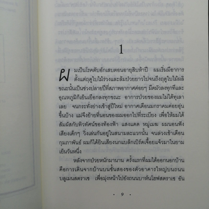 The Reader - เบิร์นฮาร์ด ชลิงค์ รูปที่ 12