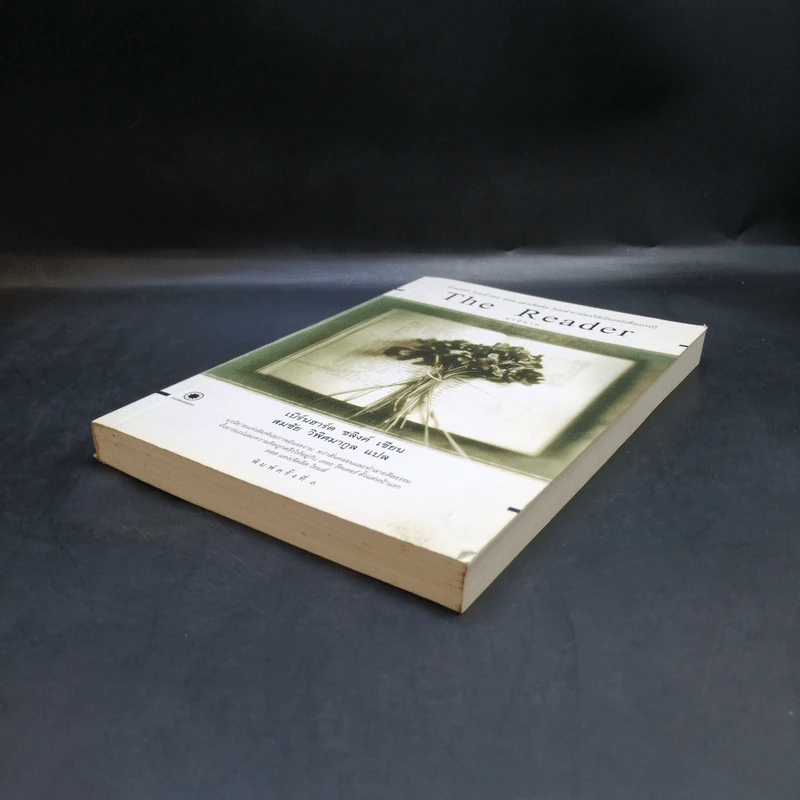 The Reader - เบิร์นฮาร์ด ชลิงค์ รูปที่ 7
