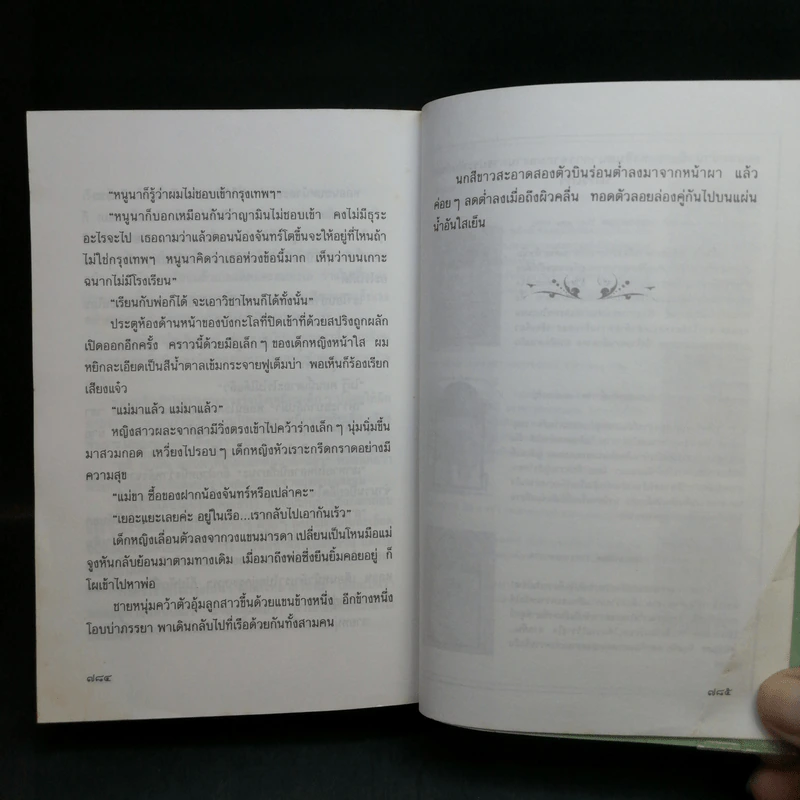 อมตะ - แก้วเก้า รูปที่ 13