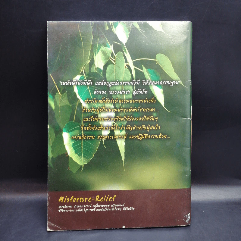 แก้กรรม! ทำเองได้ รูปที่ 2