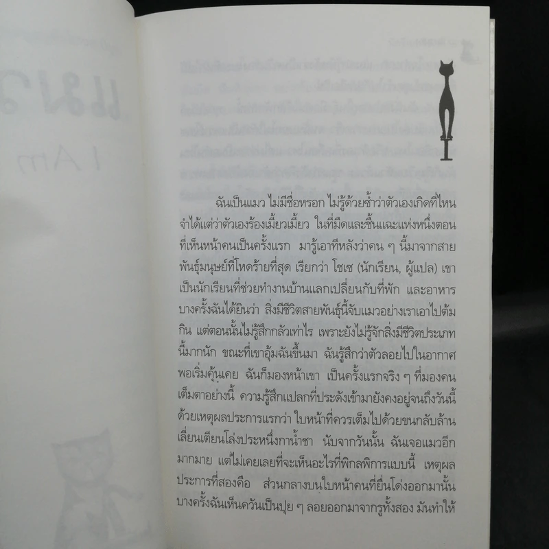 แมวมอง I Am a Cat - นัตสึเมะ โซเซกิ รูปที่ 10