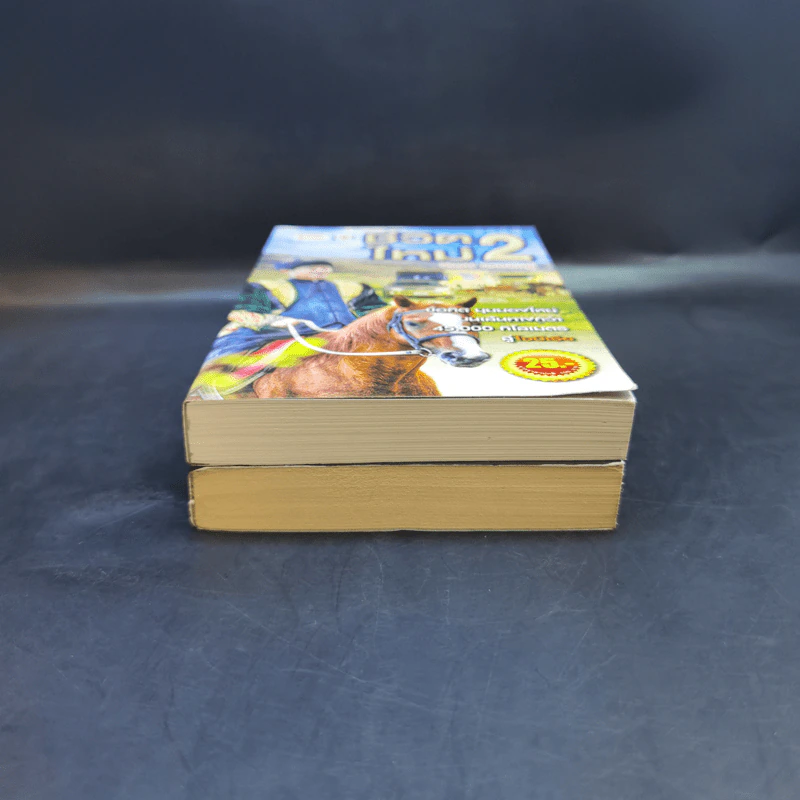 ชีวิตใหม่ เล่ม 1-2 - วิกรม กรมดิษฐ์ รูปที่ 4