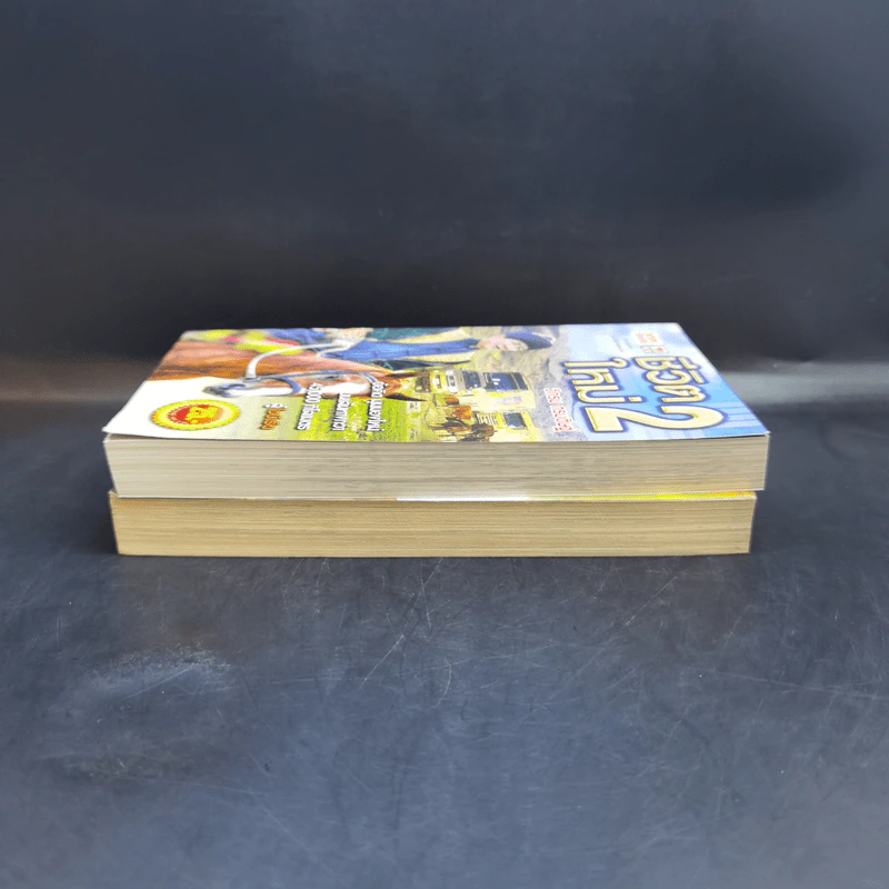 ชีวิตใหม่ เล่ม 1-2 - วิกรม กรมดิษฐ์ รูปที่ 5