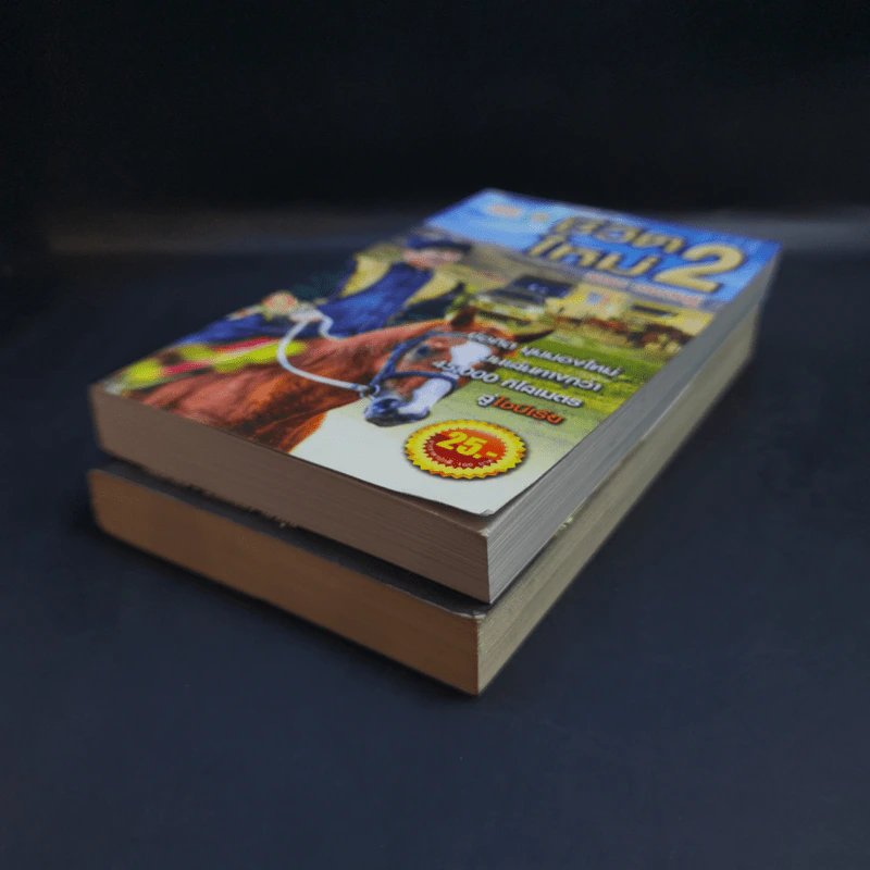 ชีวิตใหม่ เล่ม 1-2 - วิกรม กรมดิษฐ์ รูปที่ 6