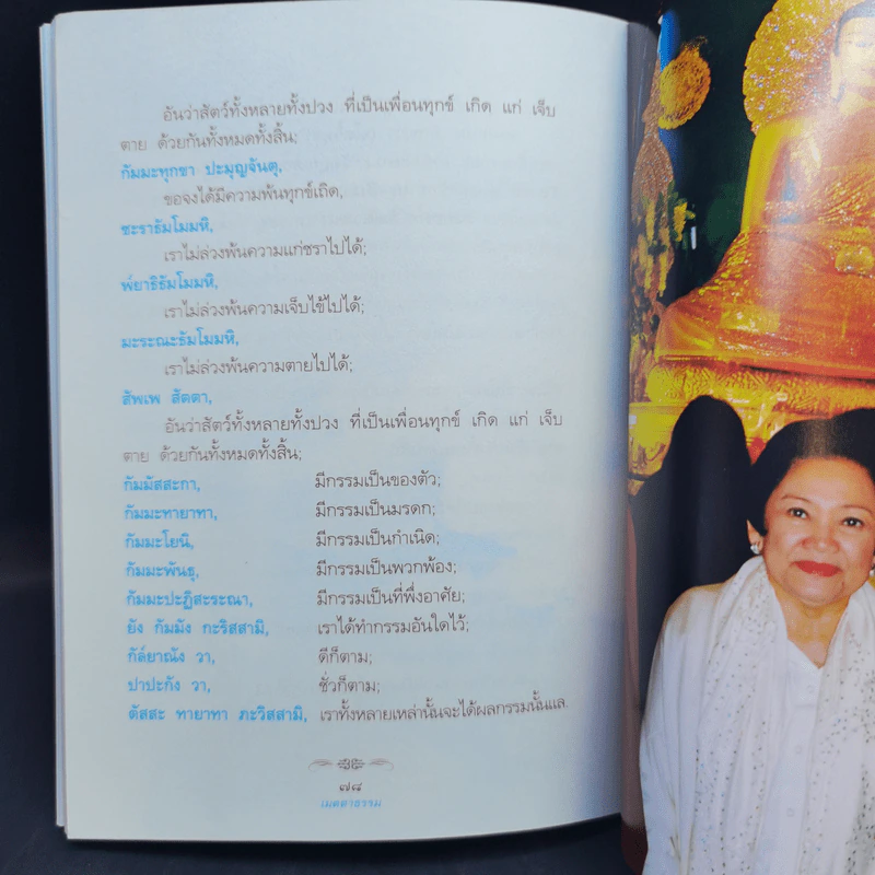 เมตตาธรรม - ว.วชิรเมธี รูปที่ 9