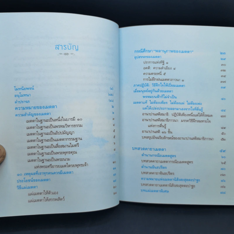 เมตตาธรรม - ว.วชิรเมธี รูปที่ 7