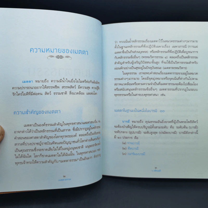 เมตตาธรรม - ว.วชิรเมธี รูปที่ 8
