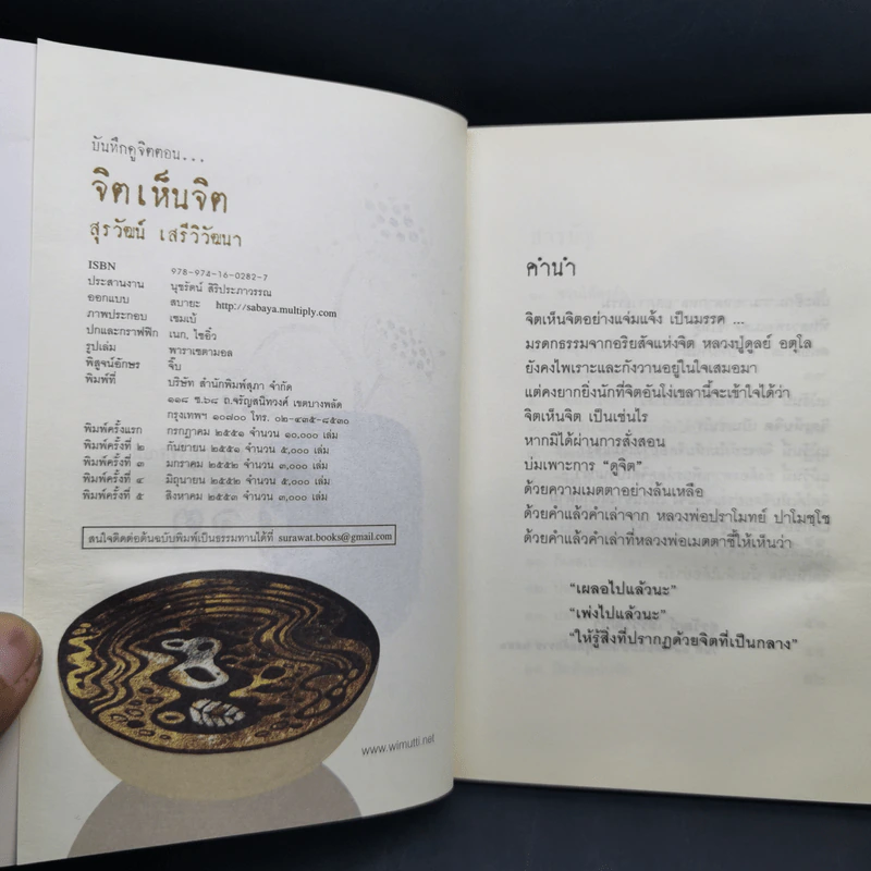 บันทึกดูจิต ตอน จิตเห็นจิต - สุรวัฒน์ เสรีวิวัฒนา รูปที่ 10