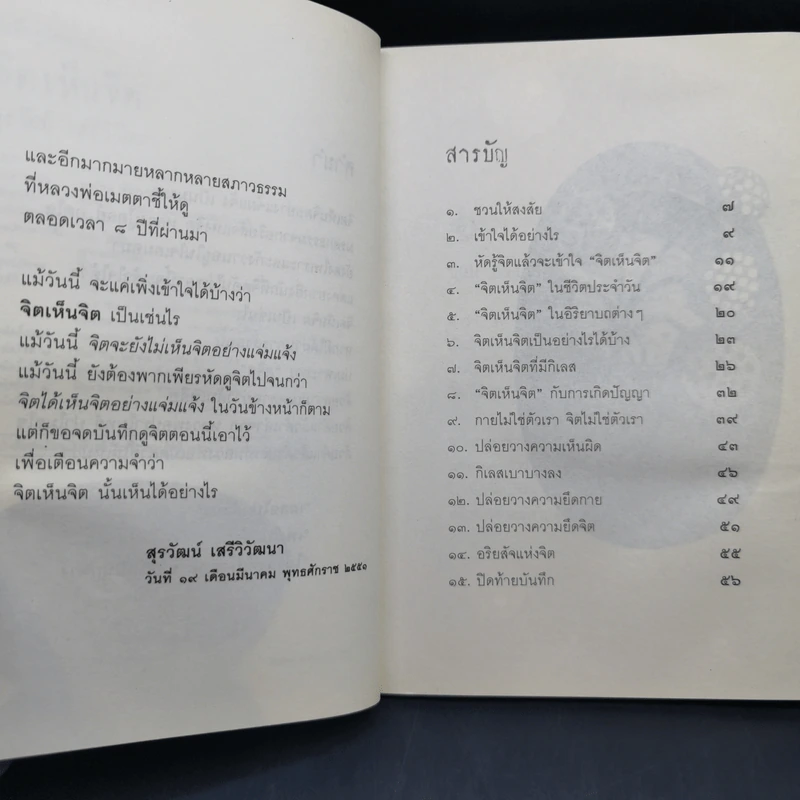 บันทึกดูจิต ตอน จิตเห็นจิต - สุรวัฒน์ เสรีวิวัฒนา รูปที่ 11