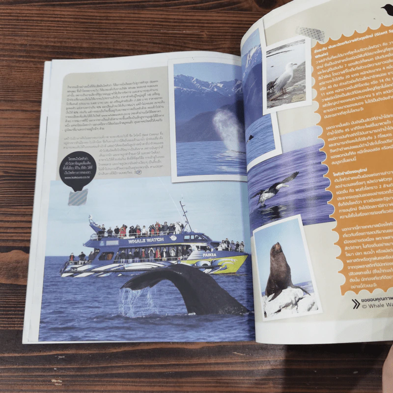 Postcard Travel by Budget ฌอห์ณ จินดาโชติ รูปที่ 7