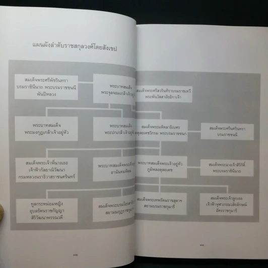 พระบาทสมเด็จพระเจ้าอยู่หัวฯ รัชกาลที่ 9 และเจ้านายไทยในโลซานน์ รูปที่ 15