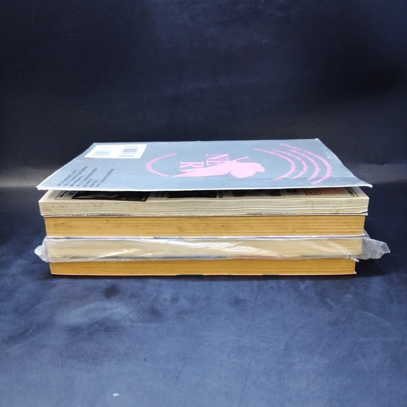 Evangelion เอวานเกเลียน เล่ม 1,3,5,6 รูปที่ 4