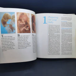 The Reader's Digest Mother and Baby Book รูปที่ 10