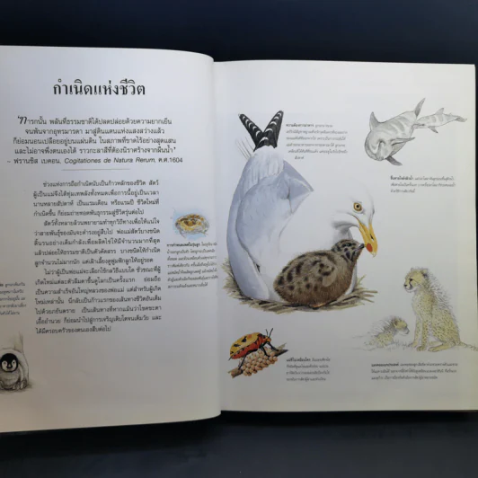 สำรวจชีวิต สัตว์โลกผู้น่าทึ่ง - รีดเดอร์ส ไดเจสท์ รูปที่ 11