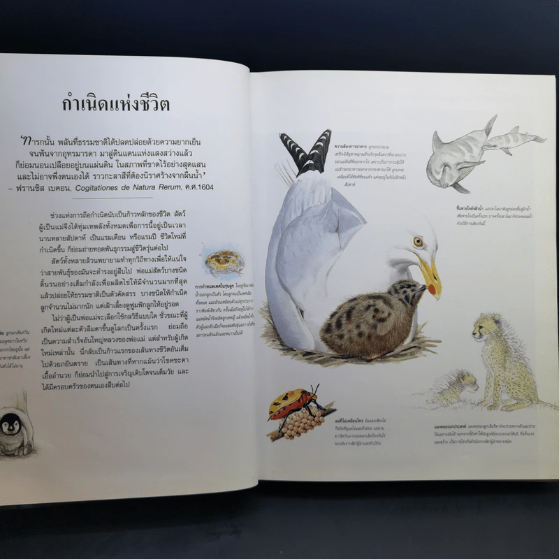 สำรวจชีวิต สัตว์โลกผู้น่าทึ่ง - รีดเดอร์ส ไดเจสท์ รูปที่ 11