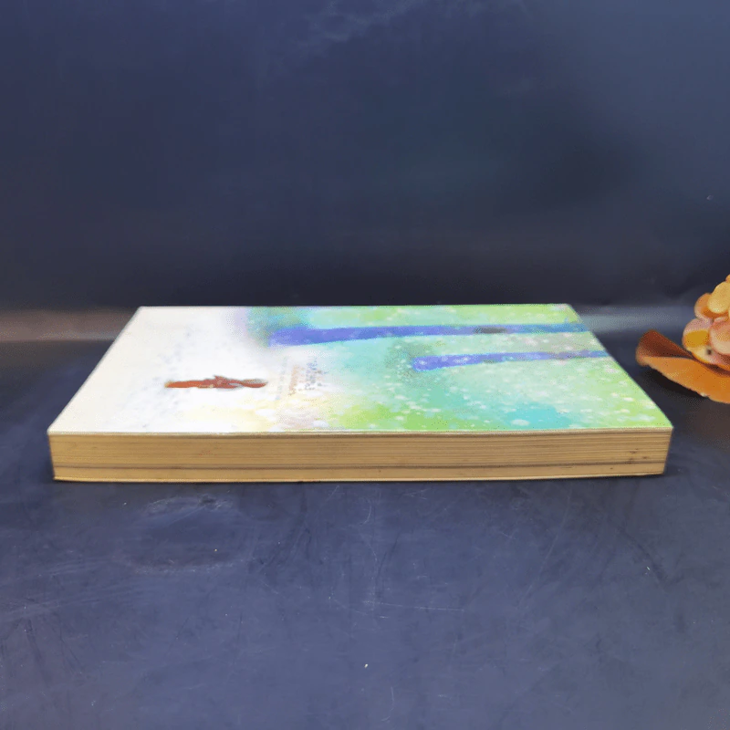 กาลครั้งหนึ่งเมื่อฉันหัดเดิน รูปที่ 5