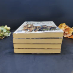 เชอร์ล็อก, ลูแปง กับฉัน เล่ม 1,2,4,5 รูปที่ 4