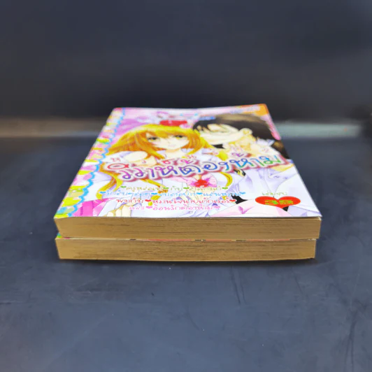หวานรักวิวาห์ต้องห้าม 2 เล่มจบ รูปที่ 3