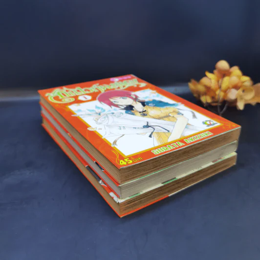 สโนไวท์ผมแดง เล่ม 1-3 รูปที่ 6