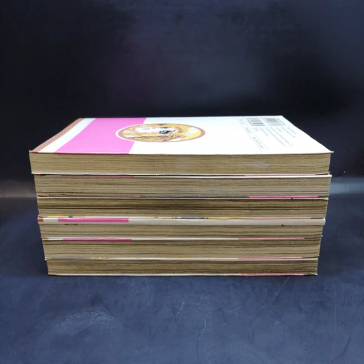 โอเคะ โนะ มอนโช (คำสาปฟาโรห์) เล่ม 1-6 รูปที่ 4