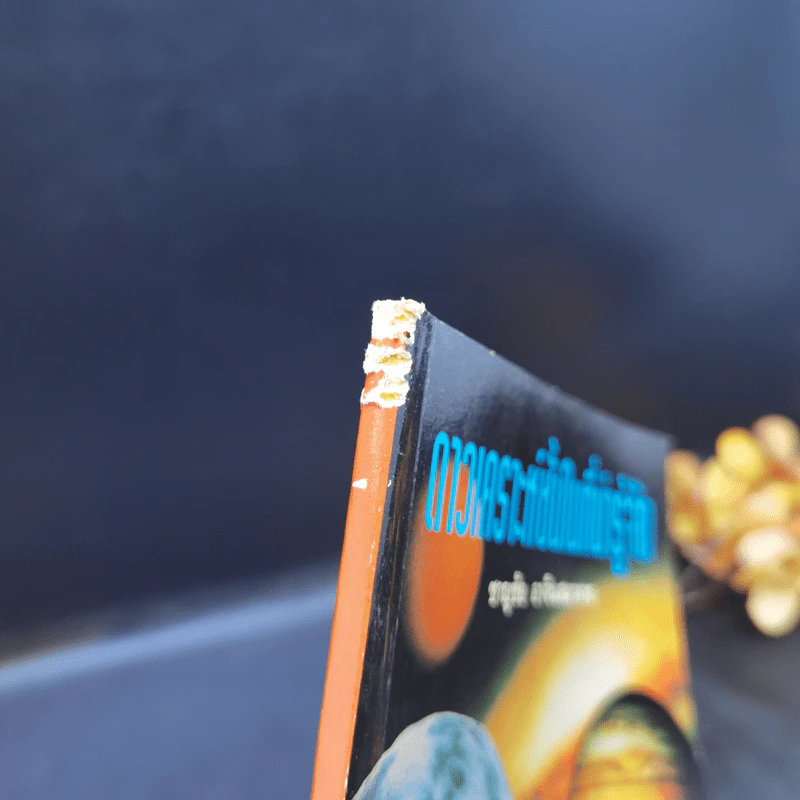 ดาวเคราะห์ชั้นในที่น่ารู้จัก - ชาญชัย อาจินสมาจาร รูปที่ 14