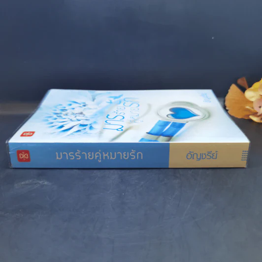 มารร้ายคู่หมายรัก - อัญชรีย์ รูปที่ 3