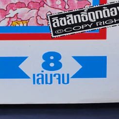 มังกรสาวที่รัก 8 เล่มจบ รูปที่ 11