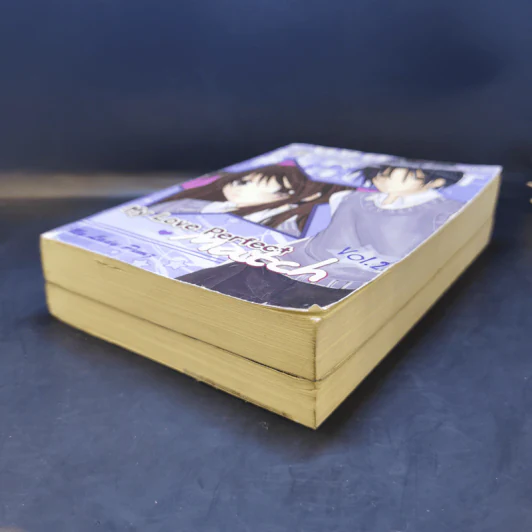 My Love Perfect Match Vol.1-2 - My Lady Ping รูปที่ 7