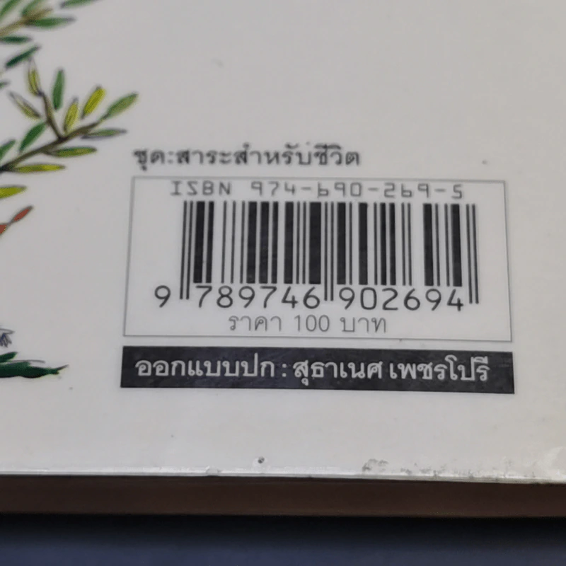 หัวใจก้าวเดิน Keep Walking - ต้นกล้า นัยนา รูปที่ 13