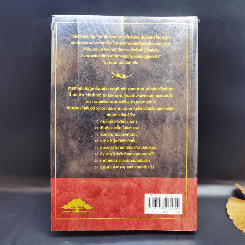 You Can if You Think You Can ต้องคิดว่าคุณทำได้ - นอร์แมน วินเซนต์ พีล รูปที่ 2