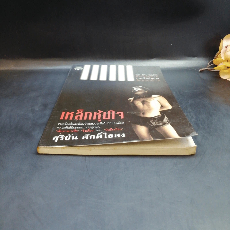 เหล็กหุ้มใจ - สุริยัน ศักดิ์ไธสง รูปที่ 4