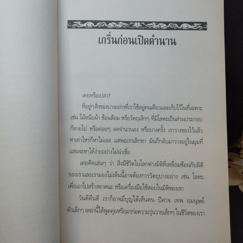 ตำนานสไปเดอร์วิก The Spiderwick Chronicles เล่ม 1 คู่มือภาคสนาม รูปที่ 10