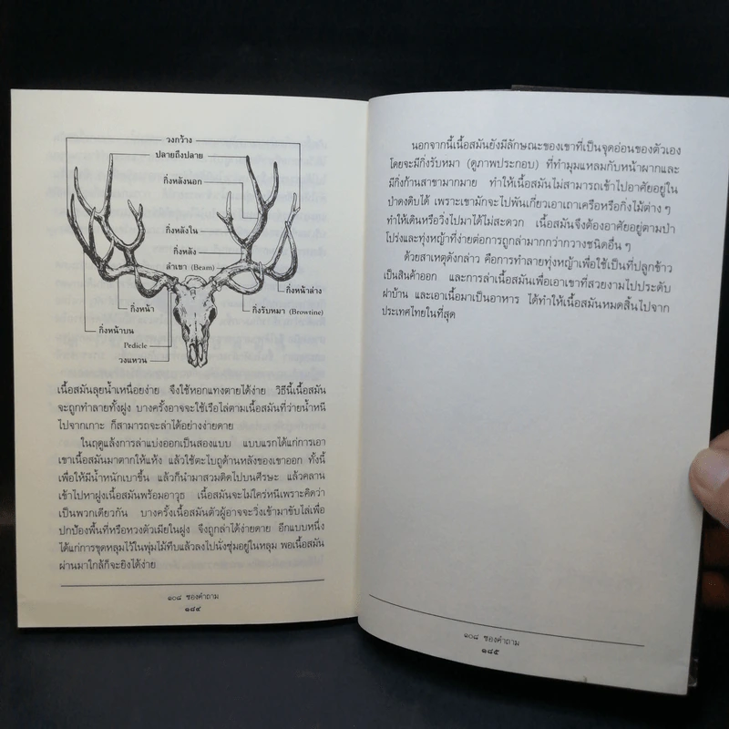 108 ซองคำถาม เล่ม 1 รูปที่ 12