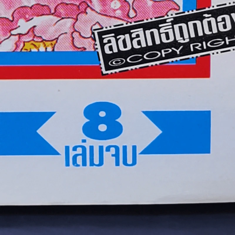 มังกรสาวที่รัก 8 เล่มจบ รูปที่ 11