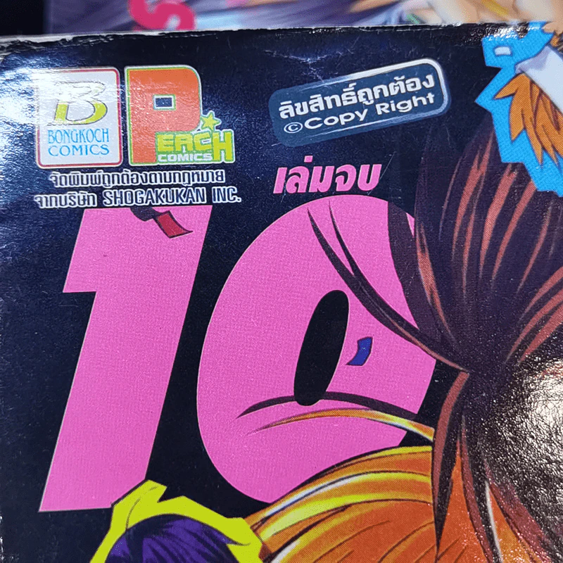 มิโดริจังกับเจ้าชายทั้งสิบเอ็ด 10 เล่มจบ รูปที่ 12