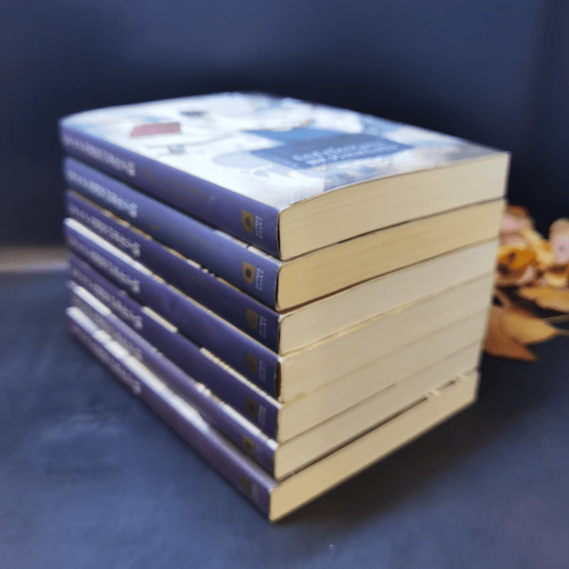 บิเบลีย บันทึกไขปริศนาแห่งร้านหนังสือ เล่ม 1-7 รูปที่ 7