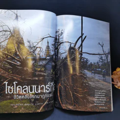 National Geographic ก.ย.2551 กู้โลกด้วยผืนดิน รูปที่ 10