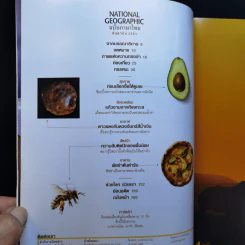 National Geographic ก.ย.2551 กู้โลกด้วยผืนดิน รูปที่ 9