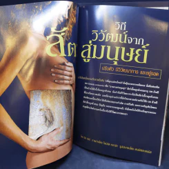 National Geographic เม.ย.2546 ต้นกำเนิดสัตว์เลี้ยงลูกด้วยนม รูปที่ 11