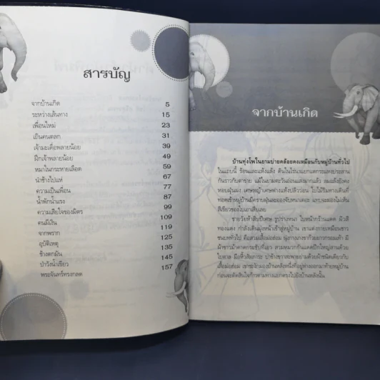 พระจันทร์ทรงกลด - โชติ ศรีสุวรรณ รูปที่ 10