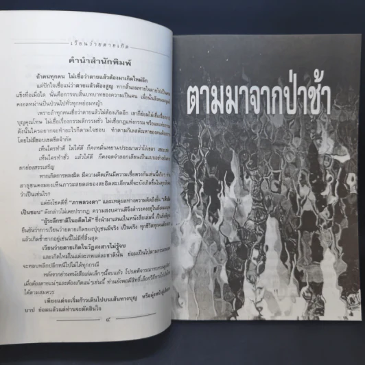 เวียนว่ายตายเกิด - นที ลานโพธิ รูปที่ 10